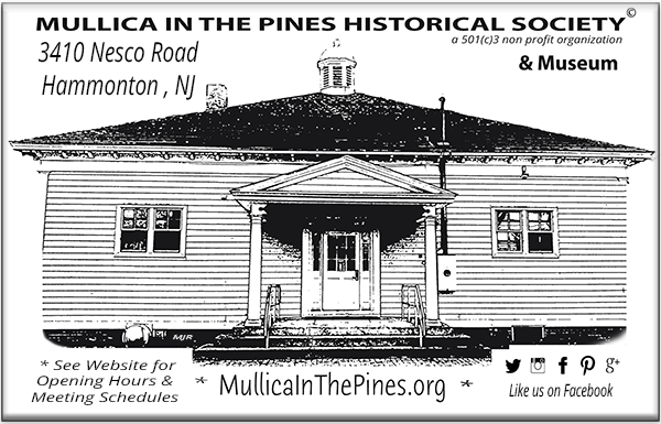 Mullica in the Pines